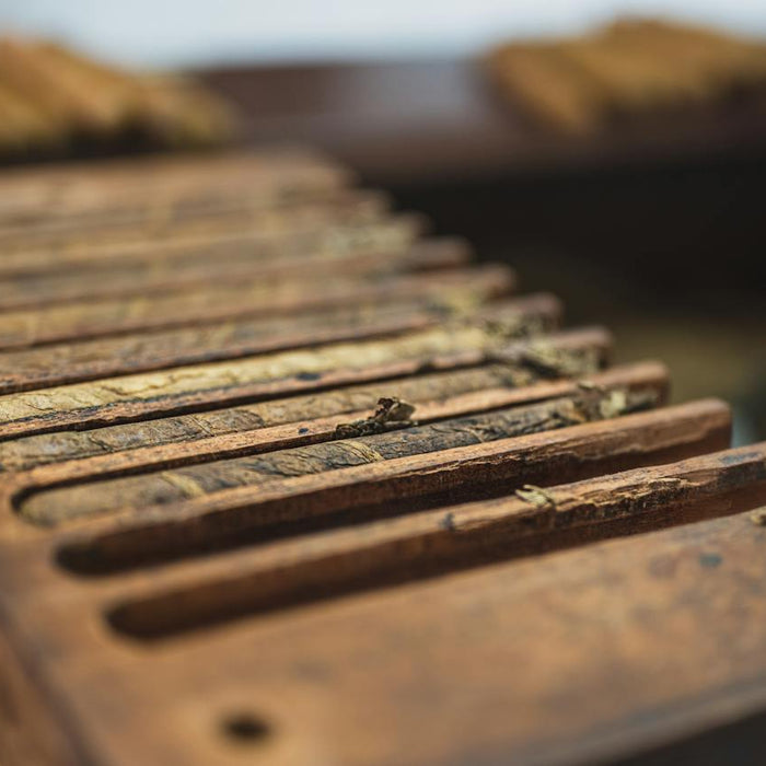 Exploring the Rich World of Cigar Varieties and Flavors