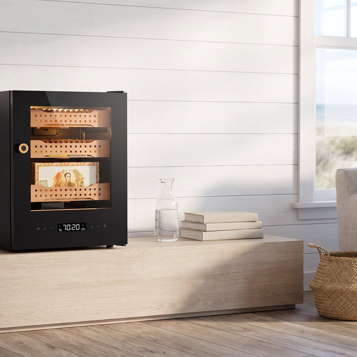Afidano B1 compact glass-door cigar humidor displaying cedar trays on an oak console in a bright coastal living room